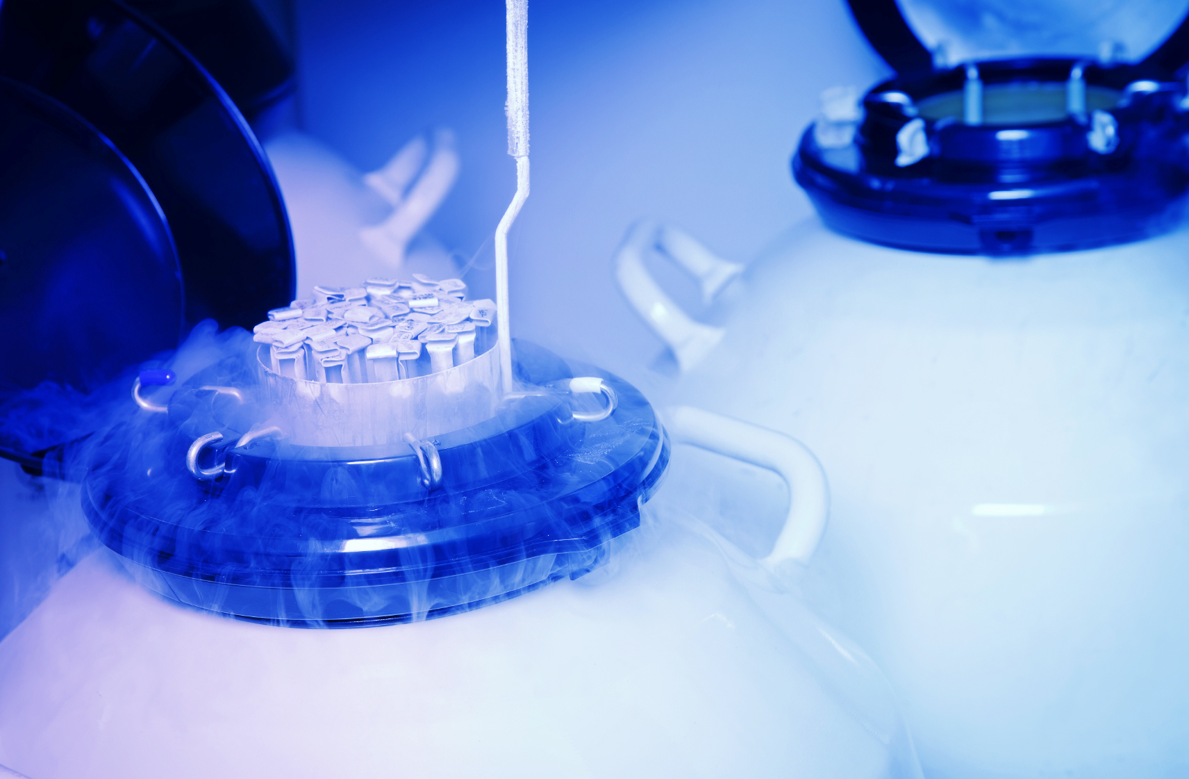 液氮罐的種類(lèi)和結(jié)構(gòu)和性能