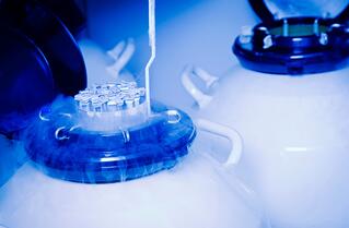 超低冷凍存儲 超低冷凍存儲